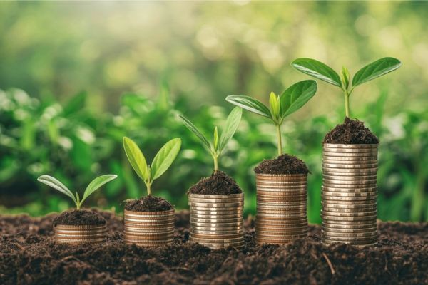 Gönen Çeltik Üreticileri İçin Gelir ve Gider Takibi: Finansal Sürdürülebilirlik Stratejileri